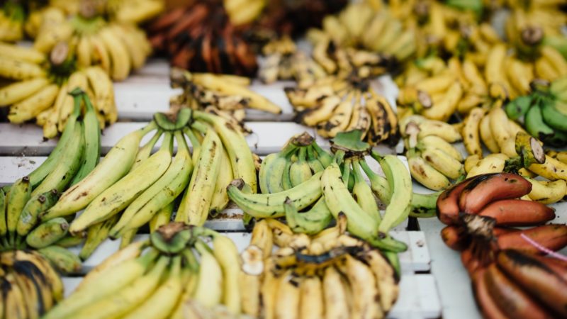 Savez-vous que l’on accélère artificiellement le murissement des bananes  aux Antilles ?