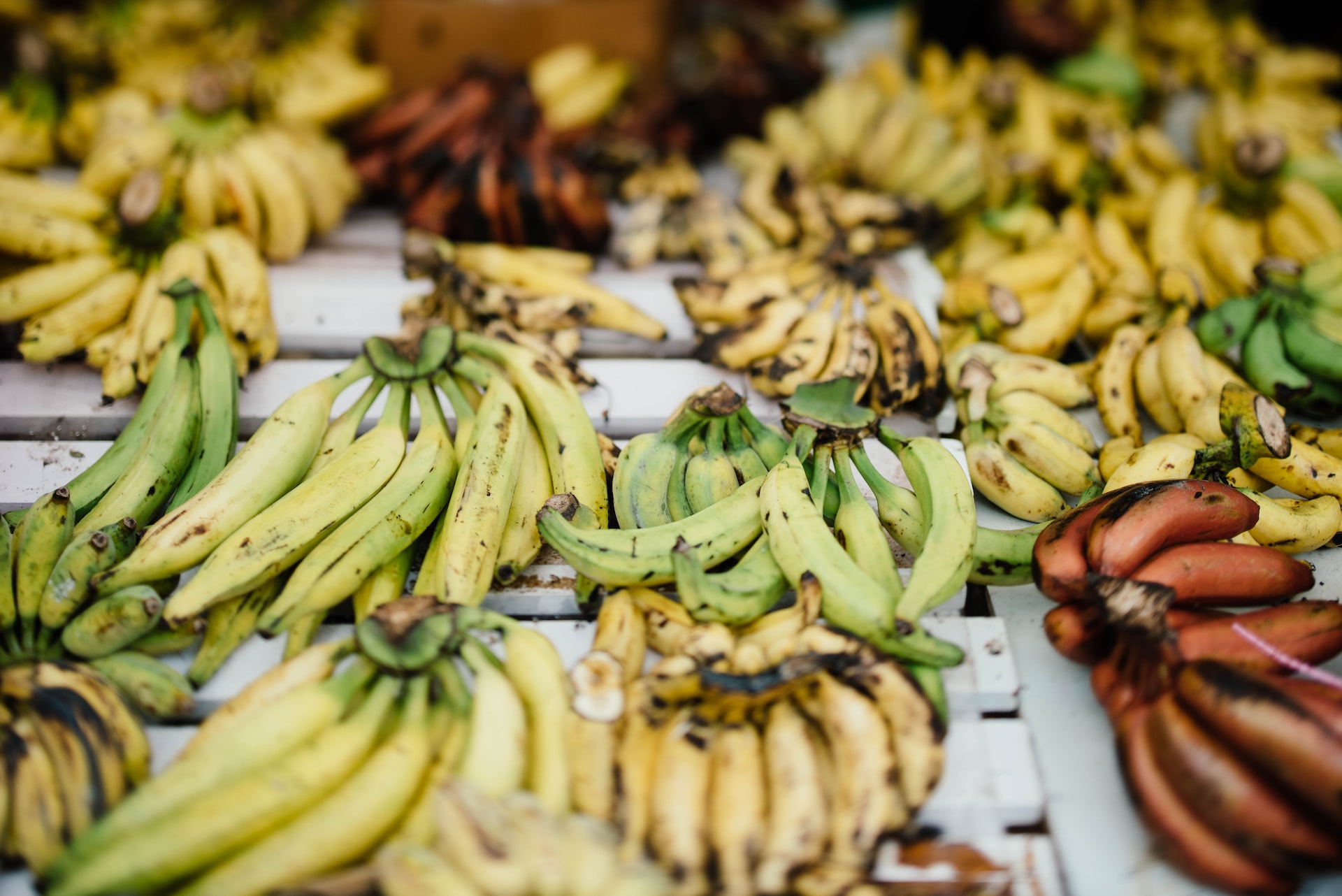 Savez-vous que l’on accélère artificiellement le murissement des bananes  aux Antilles ?