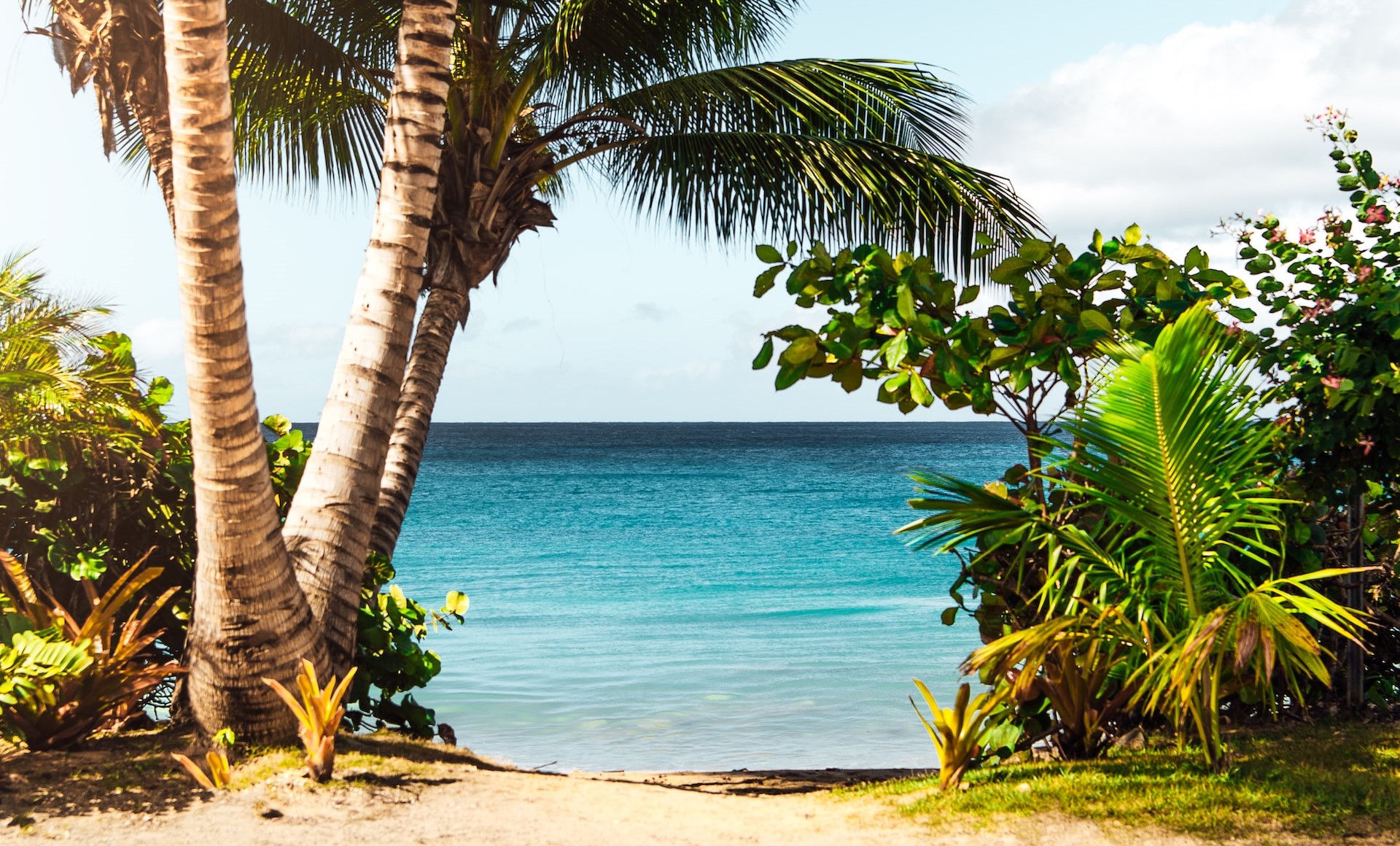 Connaissez-vous les 7 plus belles plages de la Martinique ?